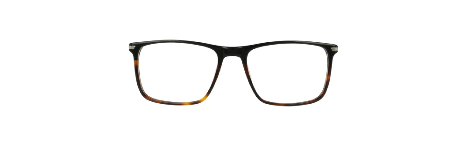 Argyleculture ARBOONE Eyeglasses - view 4